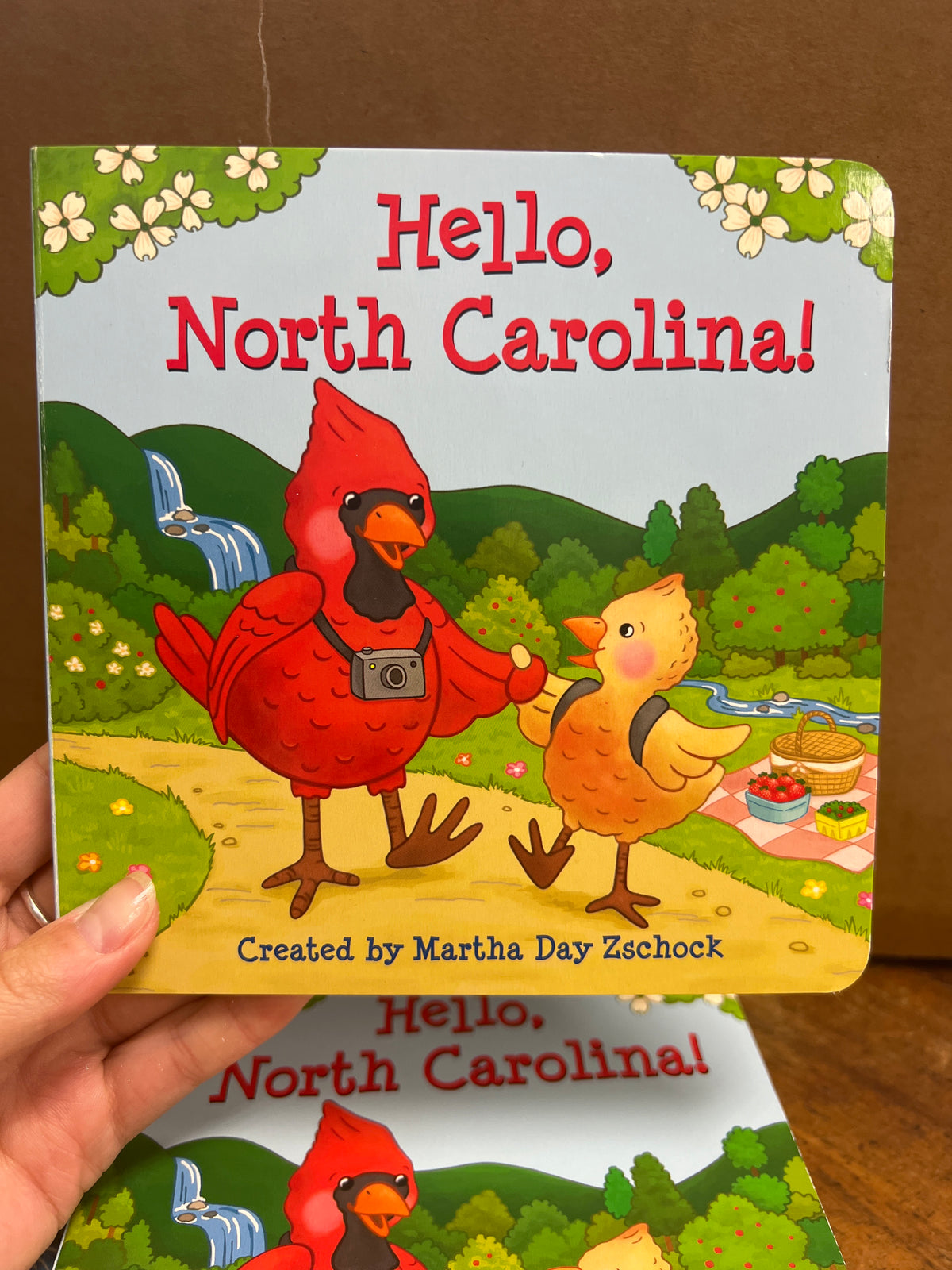 Hello North Carolina Book