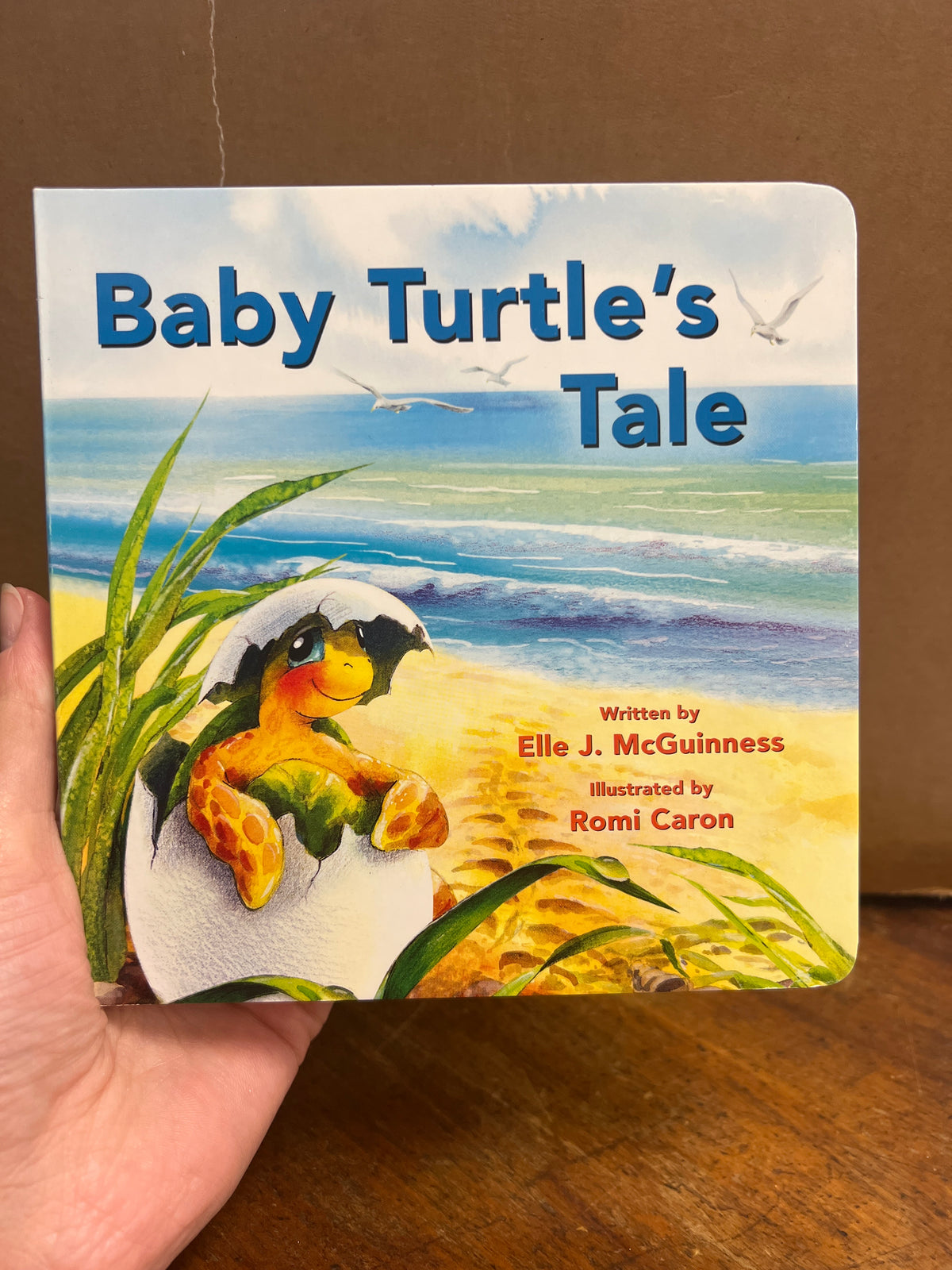 Baby Turtle Tale