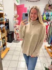 Z Brushed Turtleneck Sweater